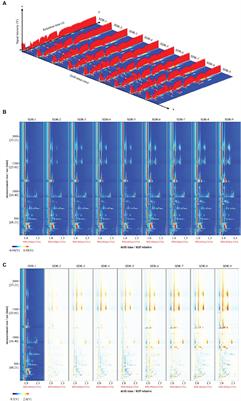 Traditional method of rhubarb processing optimized by combining flavor analysis with anthraquinone content determination